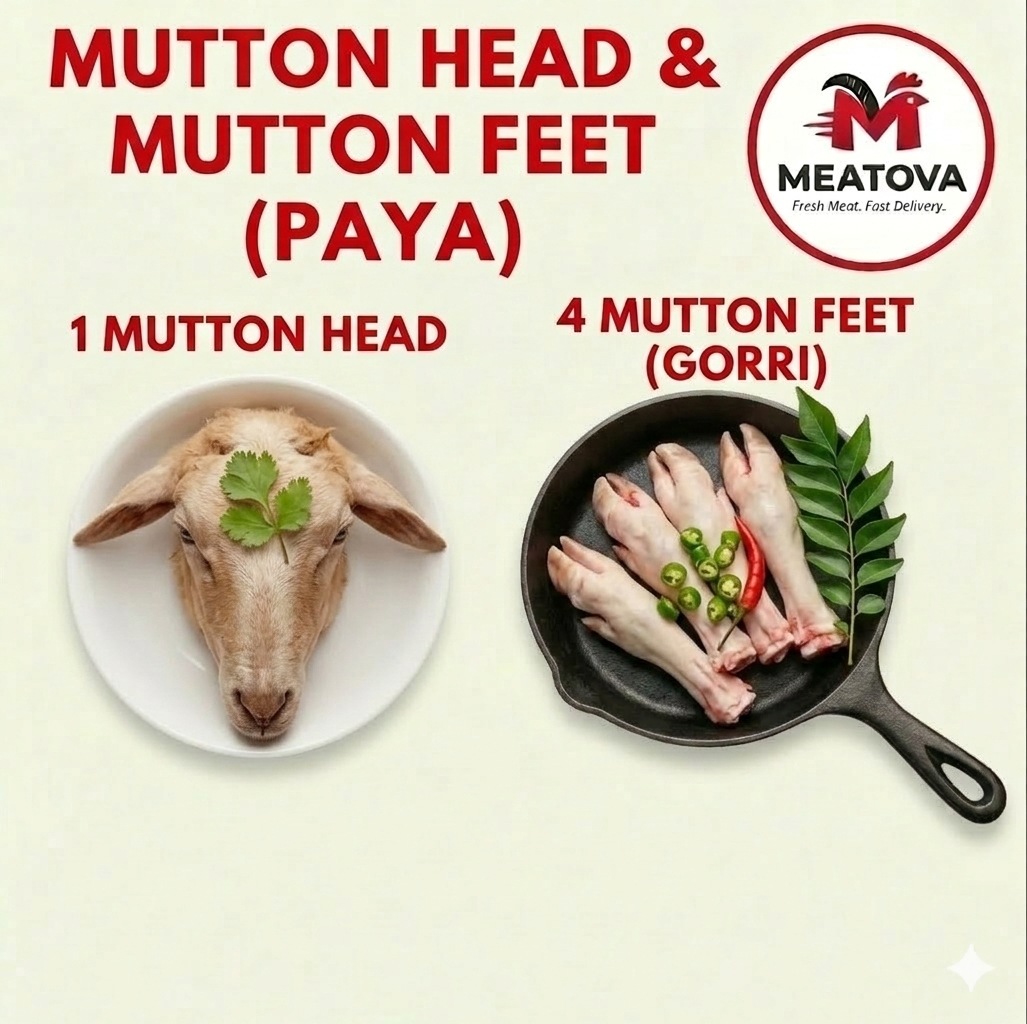 Seafood Special Combo